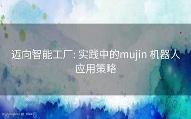 迈向智能工厂 实践中的 Mujin 机器人应用策略与人工智能基础软件开发